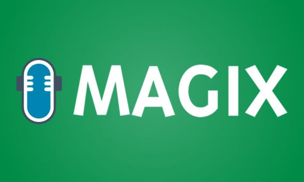 Magix, Fiscali 2021